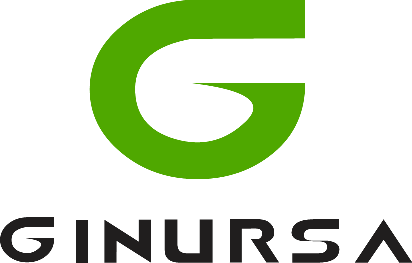 Ginursa Constructora